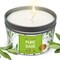 Magnificent 101 Long Lasting Pure Sage Smudge Candle | 6 Oz - 35 Hour Burn Time | Made of Soy Wax for House Energy Cleansing, Aromatherapy & Manifestation - Spiritual Gifts for Women